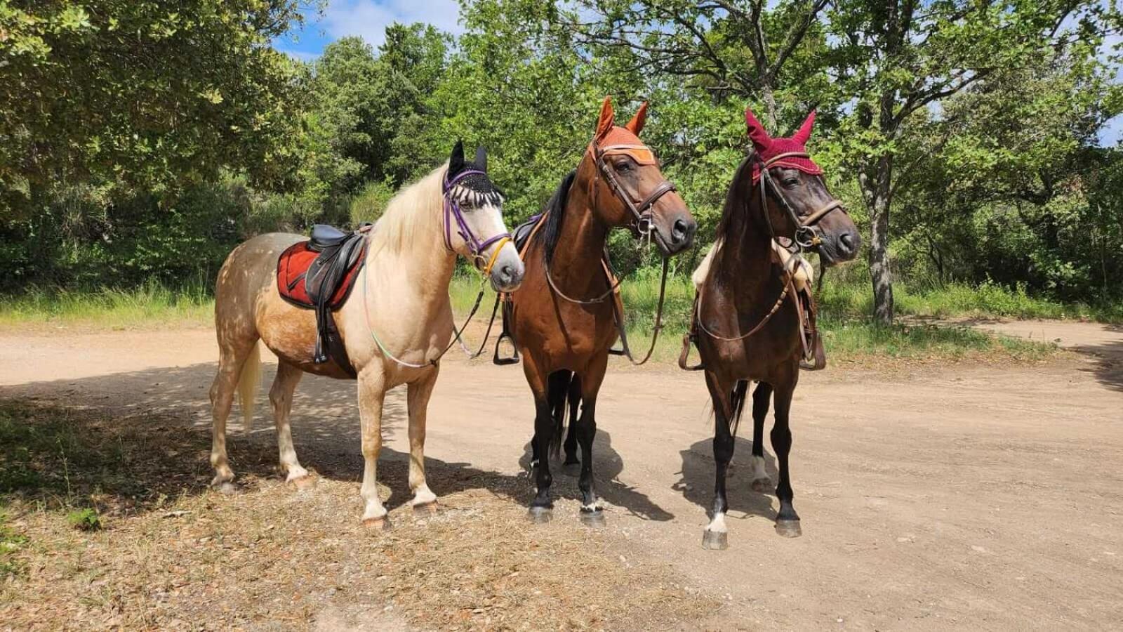 La Cabane Aux Chevaux Varages المظهر الخارجي الصورة