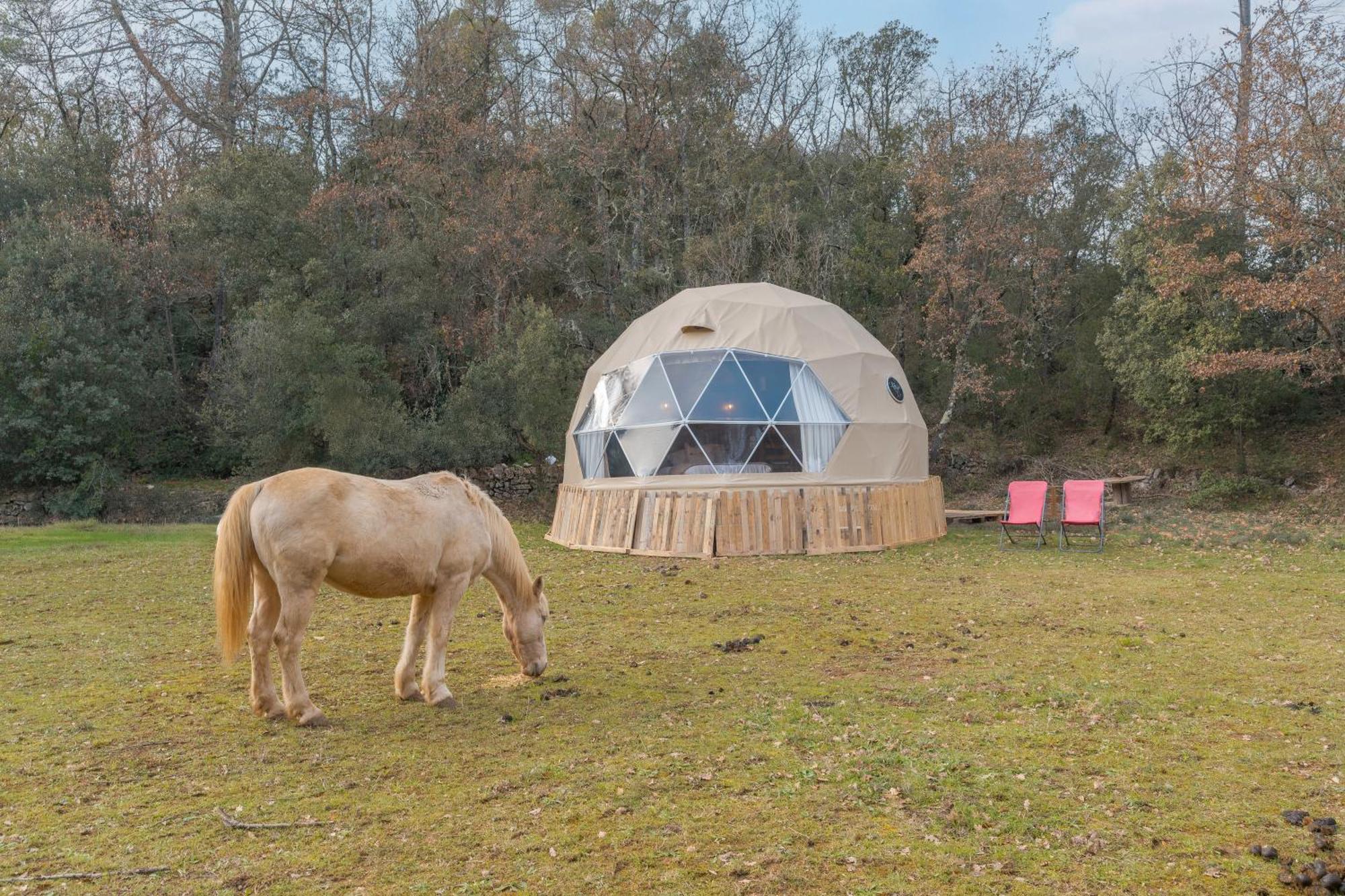 La Cabane Aux Chevaux Varages المظهر الخارجي الصورة