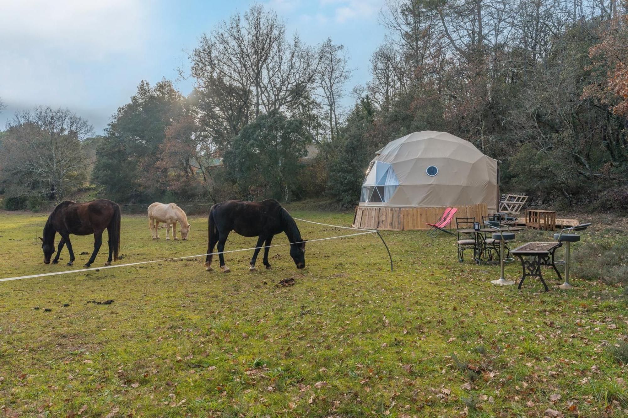 La Cabane Aux Chevaux Varages المظهر الخارجي الصورة